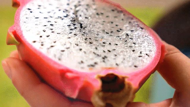 Glucotrust proizvod
