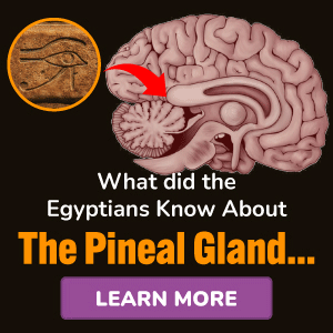 Pineal XT proizvod
