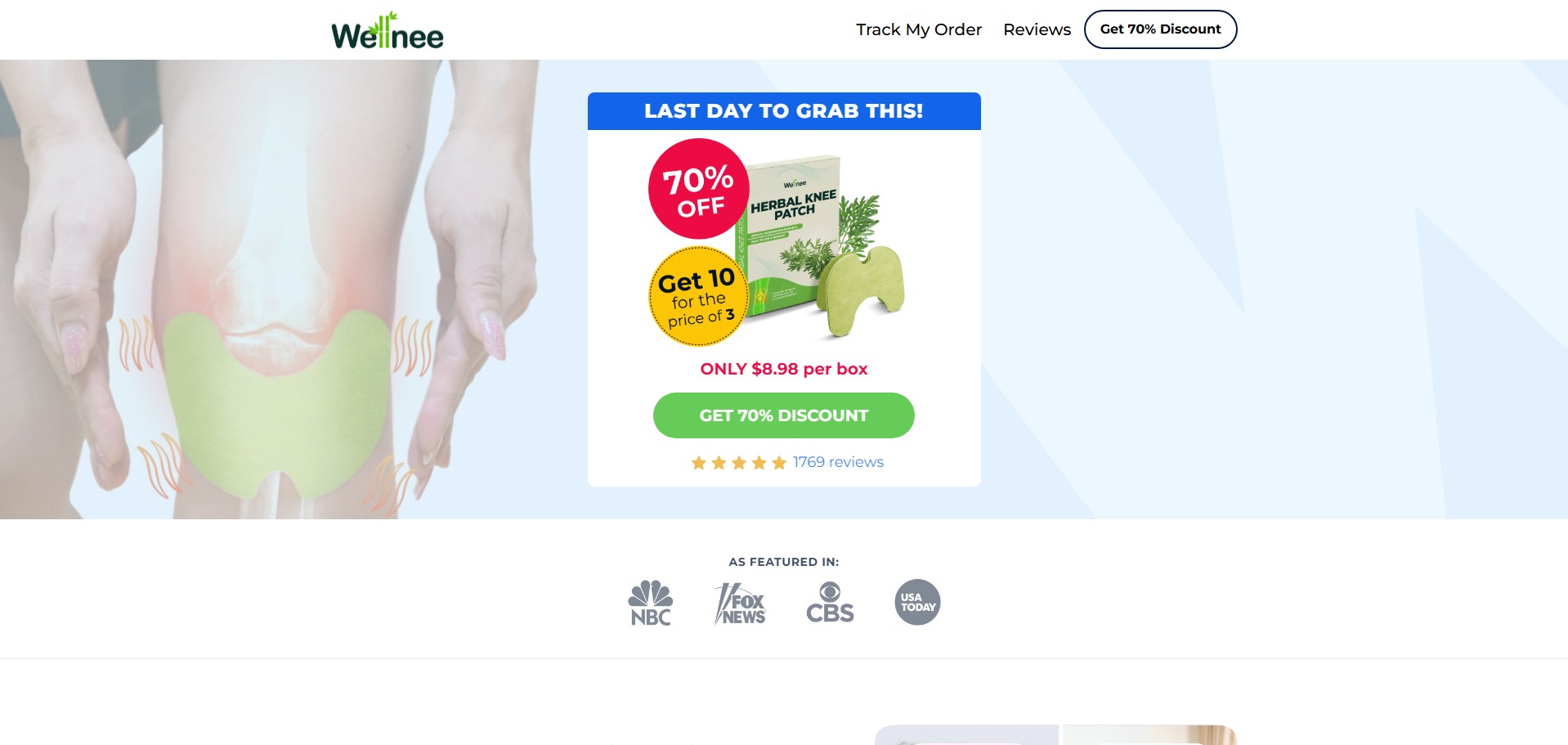 Wellnee Pain Relief Patches